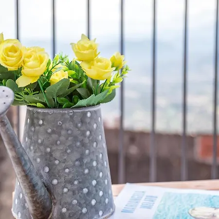 לינה וארוחת בוקר Elune באוני