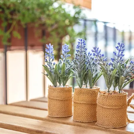 Elune לינה וארוחת בוקר